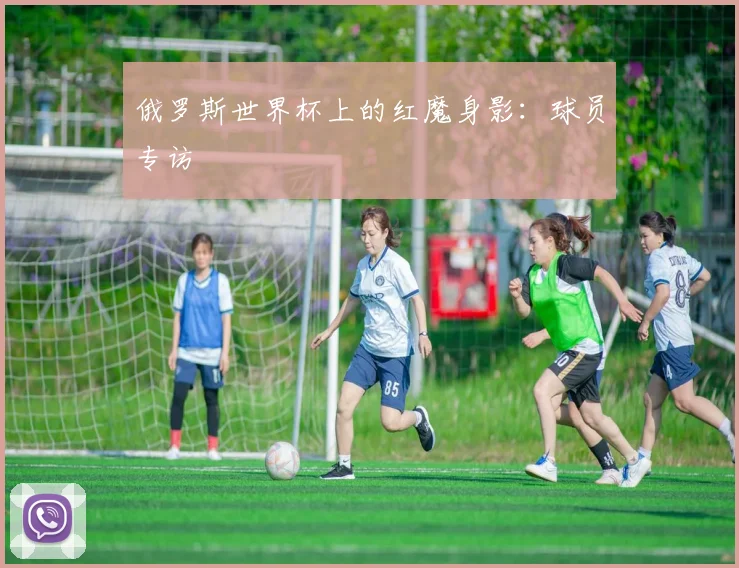 俄罗斯世界杯上的红魔身影：球员专访