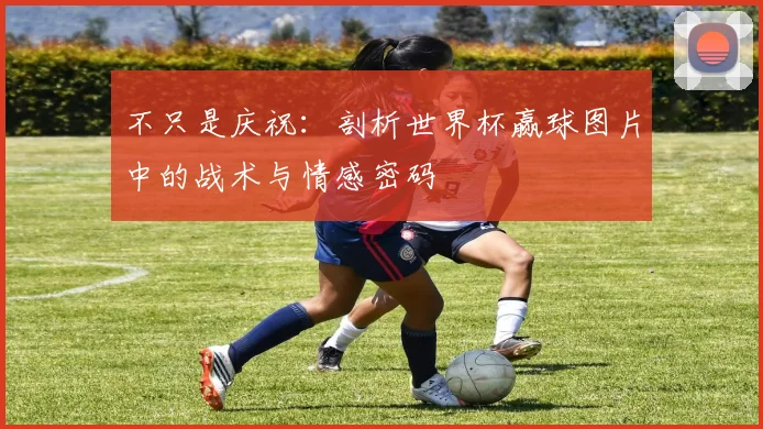 不只是庆祝:剖析世界杯赢球图片中的战术与情感密码