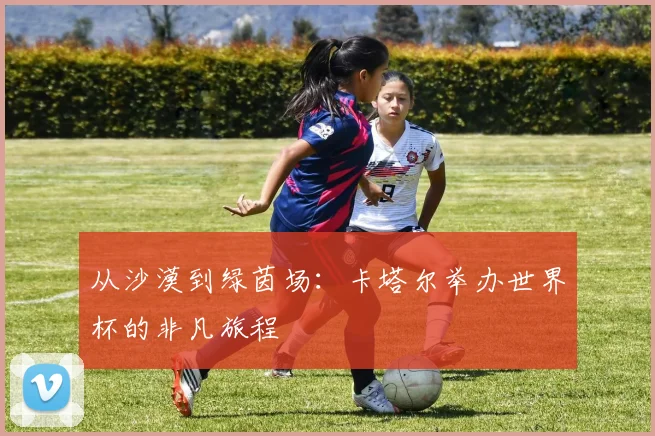 从沙漠到绿茵场:卡塔尔举办世界杯的非凡旅程