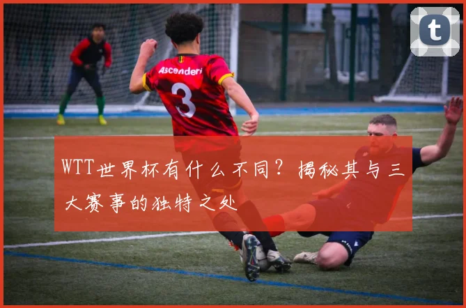 WTT世界杯有什么不同?揭秘其与三大赛事的独特之处