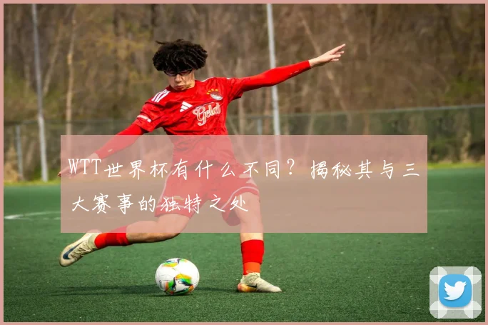 WTT世界杯有什么不同?揭秘其与三大赛事的独特之处
