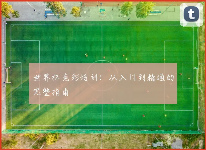 世界杯竞彩培训:从入门到精通的完整指南