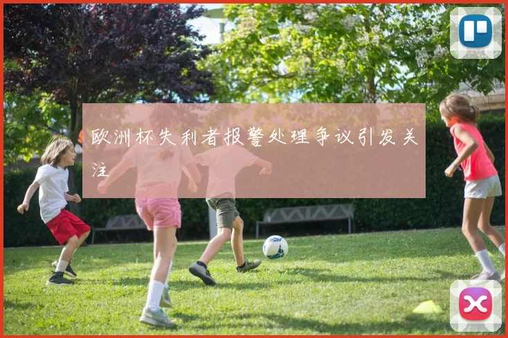 欧洲杯失利者报警处理争议引发关注