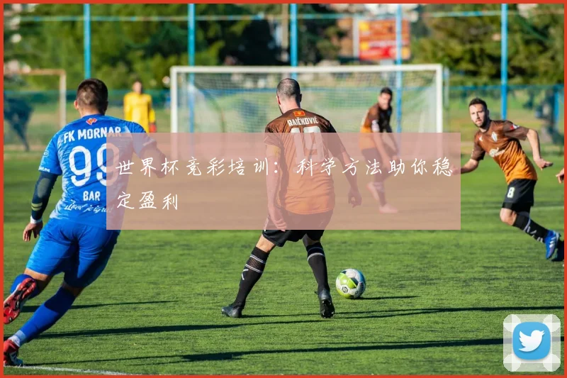 世界杯竞彩培训:科学方法助你稳定盈利