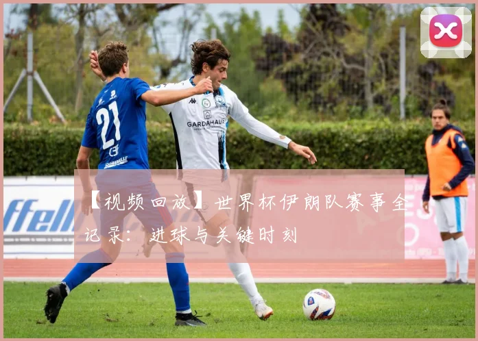 【视频回放】世界杯伊朗队赛事全记录:进球与关键时刻