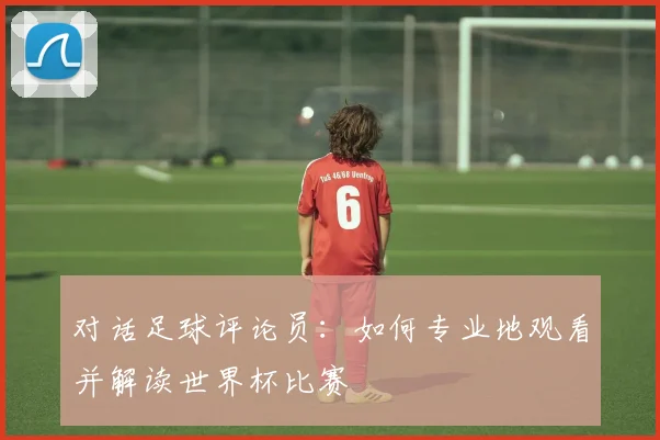 对话足球评论员:如何专业地观看并解读世界杯比赛