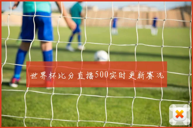 世界杯比分直播500实时更新赛况